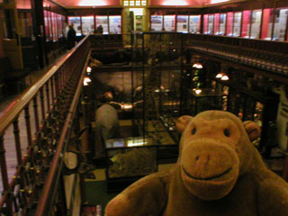 Mr Monkey inside Ipswich Museum