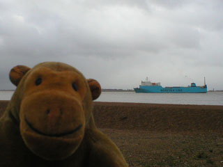 Mr Monkey watching a Norfolk Line ship leave Felixstowe