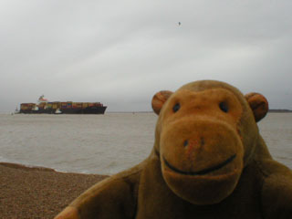 Mr Monkey watching a container ship, the MSC Korea, enter the port