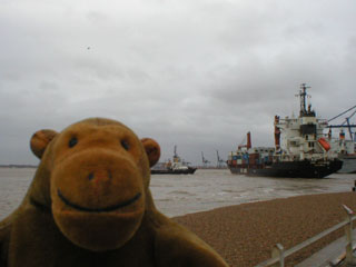 Mr Monkey watching the EWL Suriname leave the dock