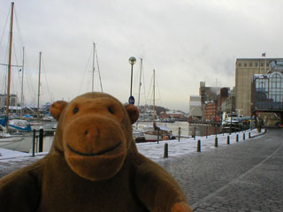 Mr Monkey on a slightly snowy street