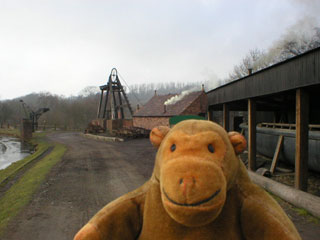 Mr Monkey down the canal path from a pithead