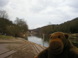 Mr Monkey looking towards the Iron Bridge