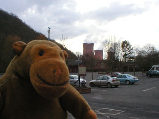 Mr Monkey looking at some pink cooling towers