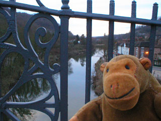 Mr Monkey looking up the gorge