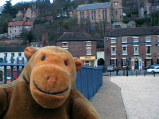 Mr Monkey looking towards the Tontine Hotel
