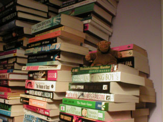 Mr Monkey atop Miss Thalia's TBR pile