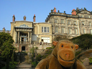 Mr Monkey scampering downstairs from the terrace