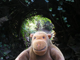 Mr Monkey and the arch into the Stumpery