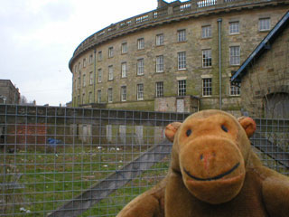 Mr Monkey at the back of the Crescent