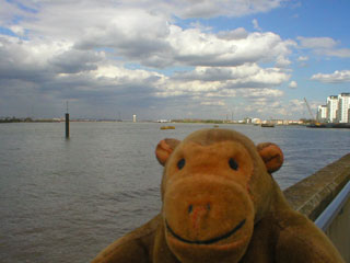 Mr Monkey looking across the Thames