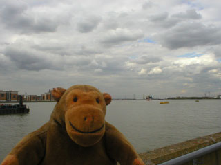 Mr Monkey looking across the Thames