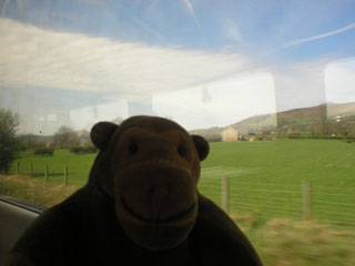 Mr Monkey looking out the train
