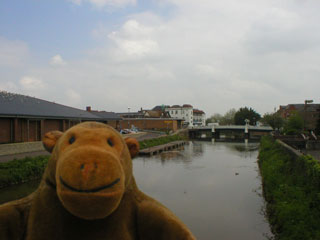 Mr Monkey beside the River Tone