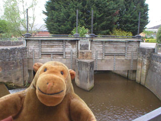 Mr Monkey inspecting a sliuce gate