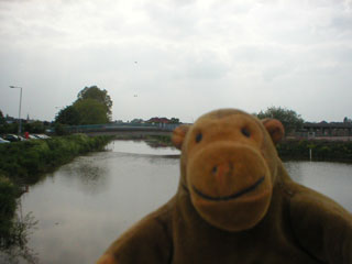 Mr Monkey looking toward Taunton along the Tone