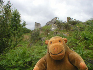 Mr Monkey Mr Monkey climbing the hill towards Dolwyddelan Castle