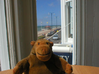 Mr Monkey looking out of his hotel room window