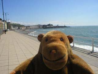 Mr Monkey looking towards the castle