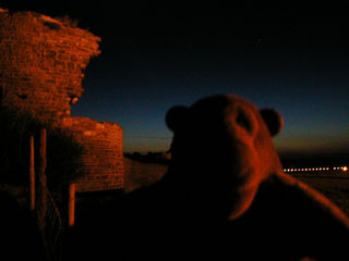 Mr Monkey in the castle in the dark