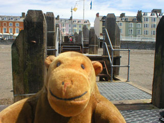 Mr Monkey looking back along the jetty