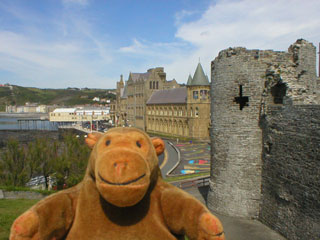 Mr Monkey looking past the castle wall and tower towards the town