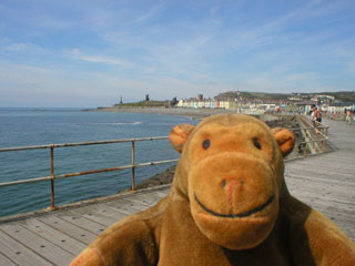 Mr Monkey looking back along the harbour wall