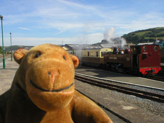 Mr Monkey watching a small steam train