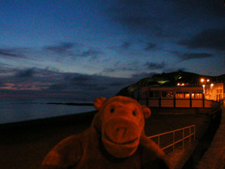 Mr Monkey on the promenade in the dark
