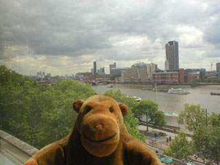 Mr Monkey looking downriver from his hotel window