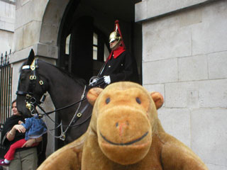 Mr Monkey outside Horse Guards
