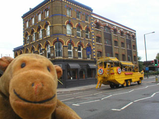 Mr Monkey watching a DUKW driving along the Albert Embankment