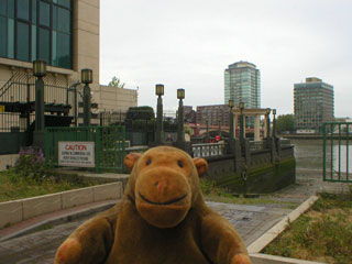 Mr Monkey looking at a slipway into the Thames