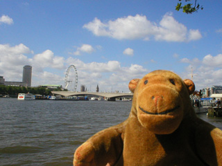 Mr Monkey looking across the Thames