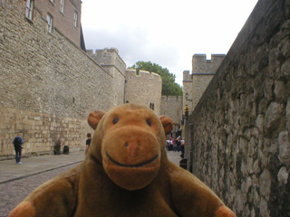 Mr Monkey looking down Water Lane