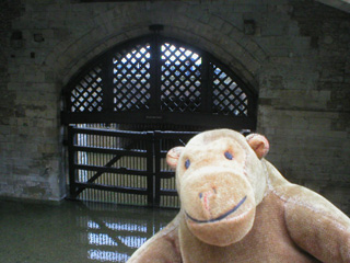 Mr Monkey looking at the water under Traitors Gate