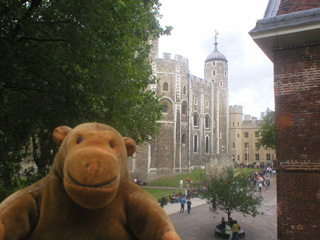 Mr Monkey looking at Tower Bridge from the south wall walk