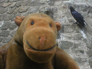 Mr Monkey with a raven