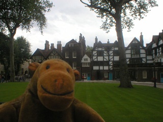 Mr Monkey looking at Tower Green