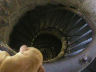 Mr Monkey looking down inside the Monument