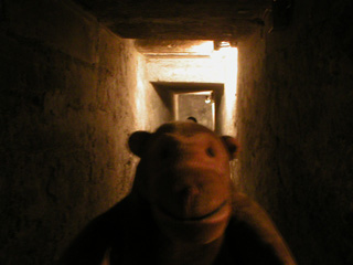 Mr Monkey exploring Wilfrid's crypt