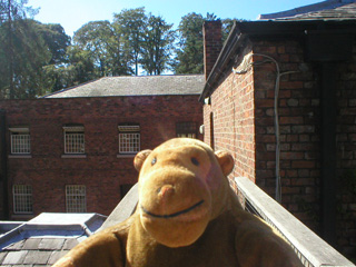 Mr Monkey on a bridge, looking towards the main body of the mill