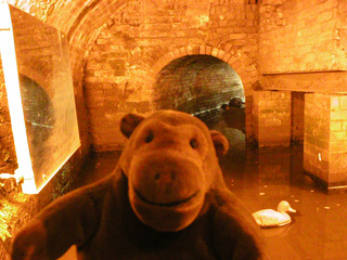 Mr Monkey looking at a water filled tunnel