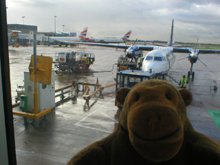 Mr Monkey looking at a Fokker 50