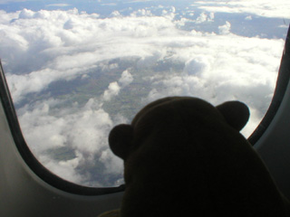 Mr Monkey looking out of an aeroplane window