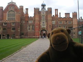 Mr Monkey looking at a courtyard