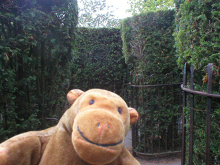 Mr Monkey in Hampton Court maze
