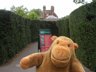 Mr Monkey at the centre of the maze