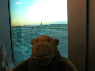 Mr Monkey looking out at a runway at sunset