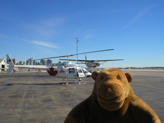 Mr Monkey looking at Jetranger helicopter